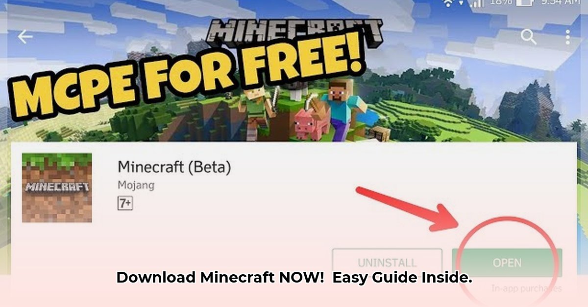 minecraft-download-in-play-store